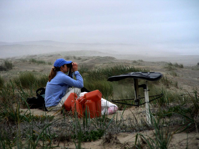 fieldwork