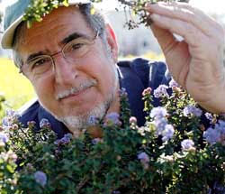 Image of Gordon Frankie
