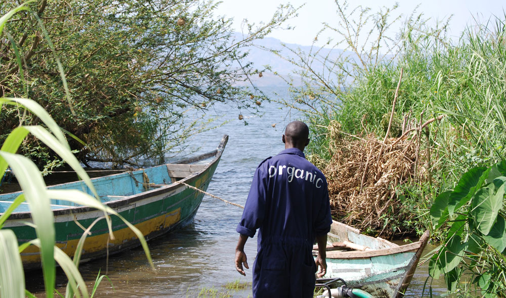 organic Residents of Nyanza Province in Western Kenya rely on subsistence fishing and farming and remain particularly vulnerable to food insecurity, poverty, and HIV infection.