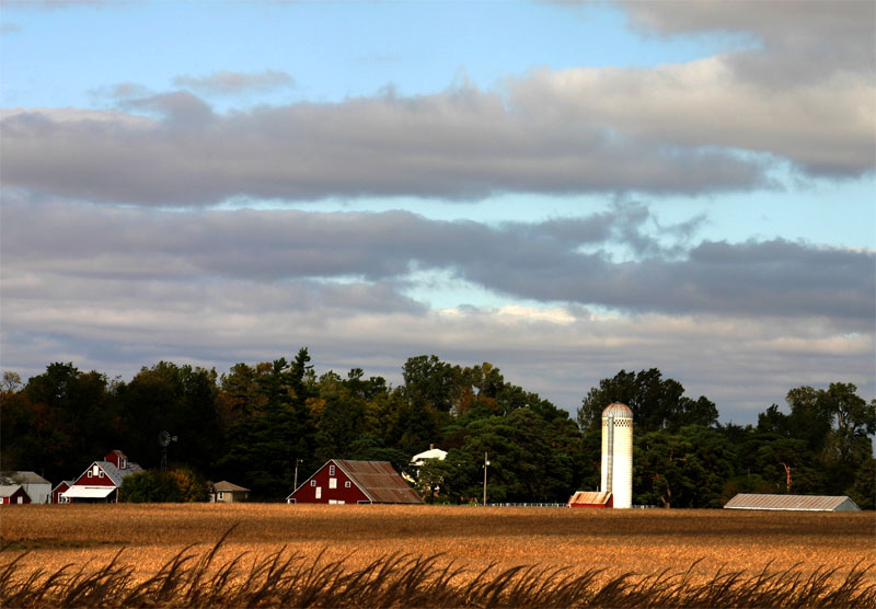 farmhouse Farm house