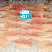 fish