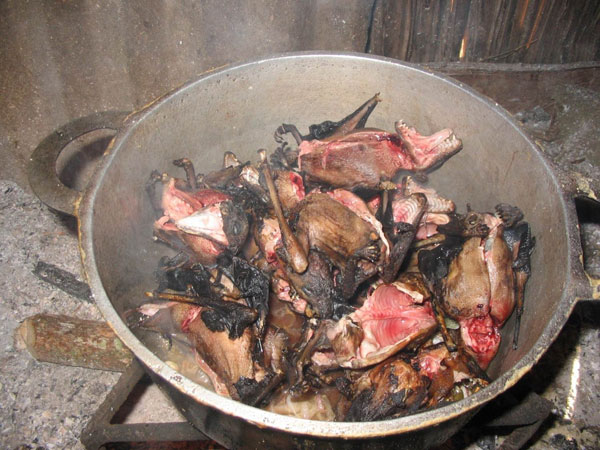 bat-stew
