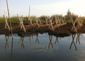 Azwell-stakes-tubes400