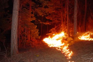 firefuel-burn410