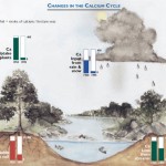 Acid deposition has altered the calcium cycle in watersheds in the Northeastern United States in ways that are similar to changes observed at Hubbard Brook Experimental Forest. The bar graphs in the photos show the differences in calcium (Ca) levels between 1950, bars on the left, and 1995. (Graphic courtesy of Hubbard Brook Research Foundation)