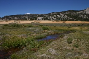 IMG_6825