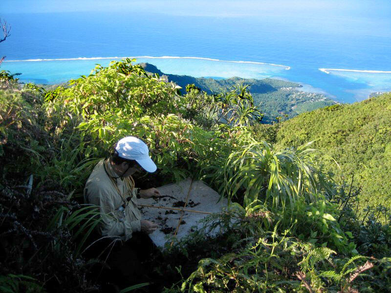 A researcher in a beautiful setting with the sea in the background