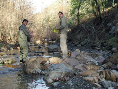 Students working in a stream