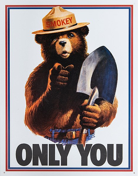 A campaign poster for wildfire prevention with Smokey the Bear and the slogan "Only You"