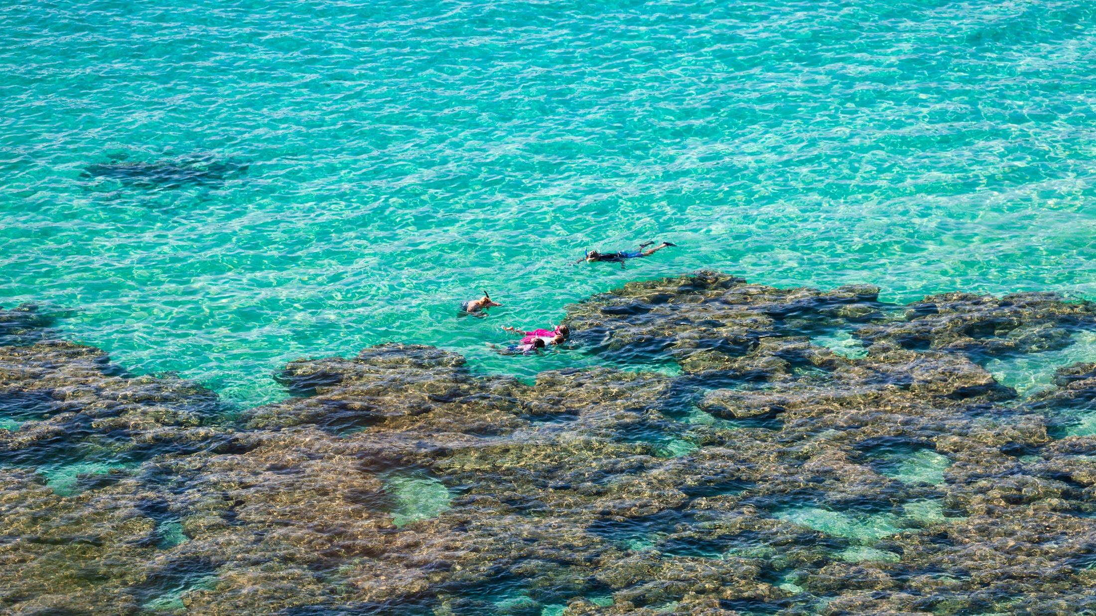 A photo of people swimming above coral reefs