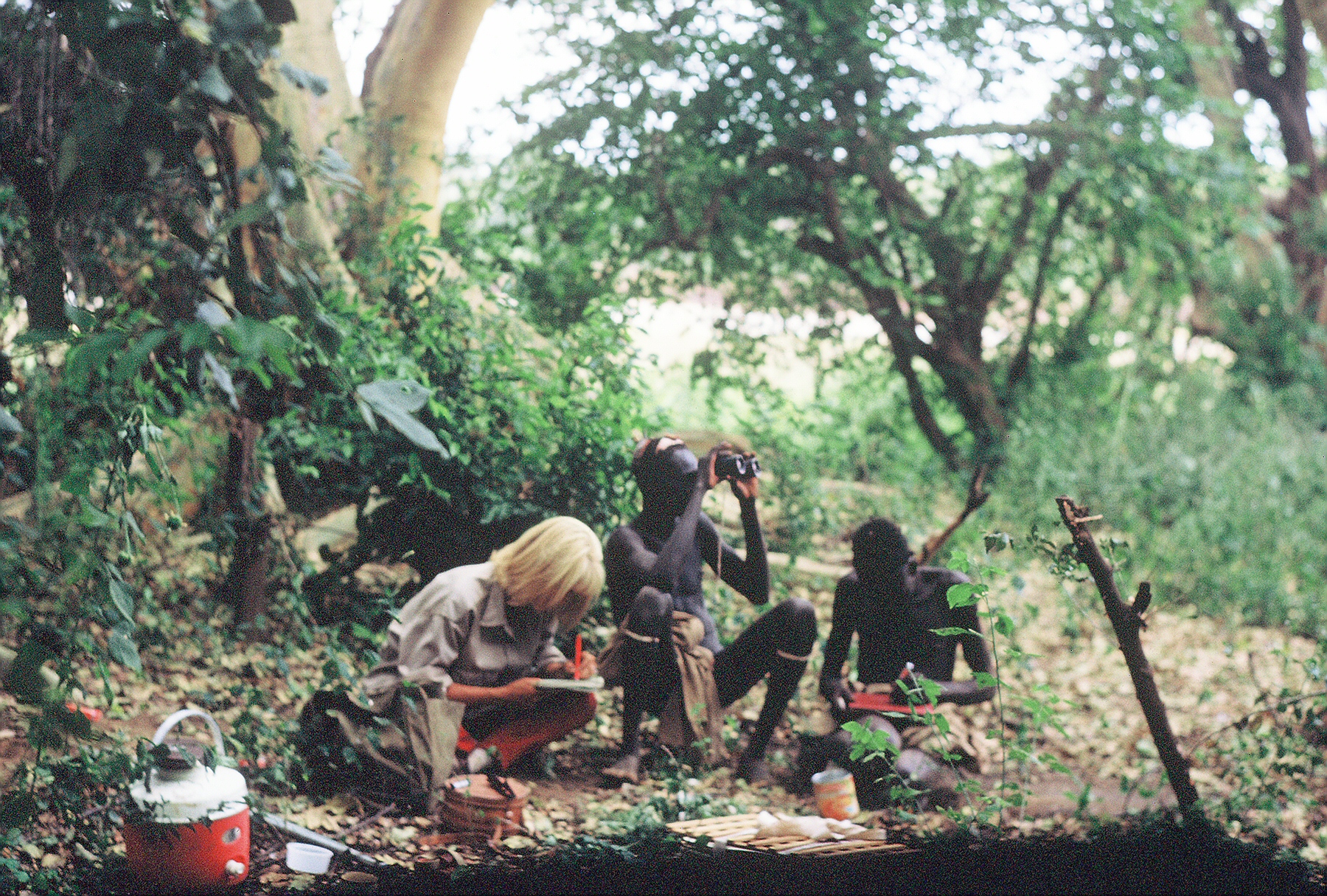  Carr documenting plant collections in the Omo Riverine forest in Ethiopia, with curious Dasanech men attending