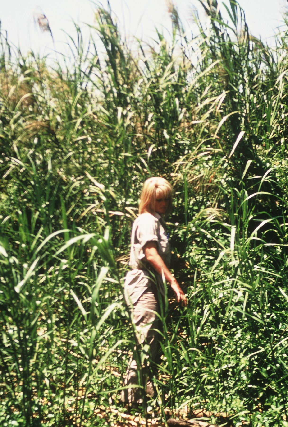  Carr recording flood-dependent cropping in the Omo River delta, within Ethiopia