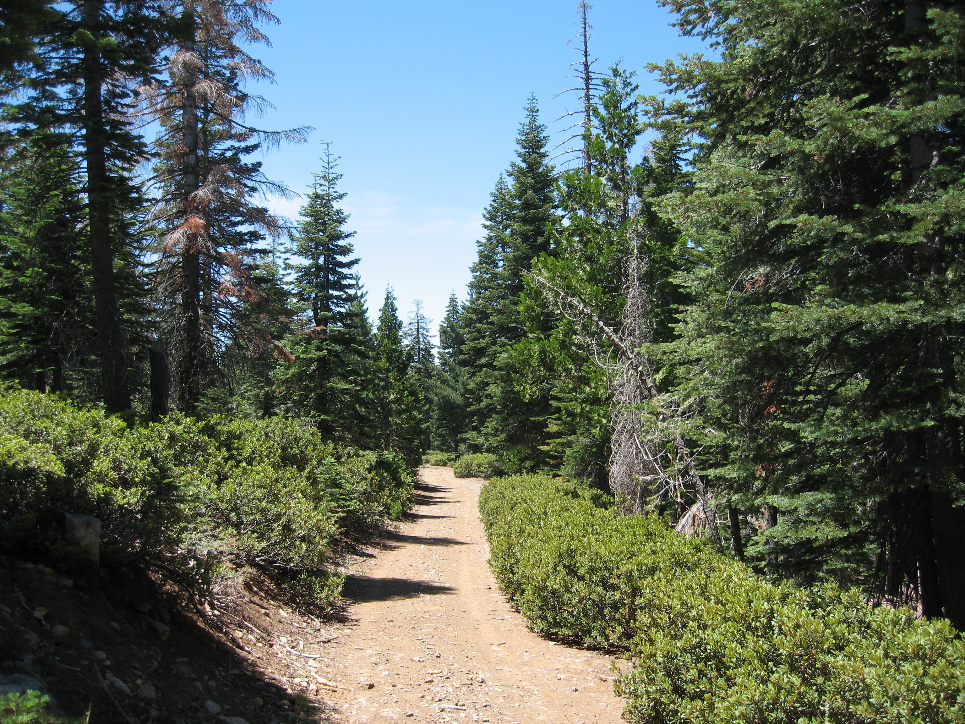 The Grouse Ridge Forest, donated to UC research, is located on three parcels in the headwaters of the Yuba River in Nevada County