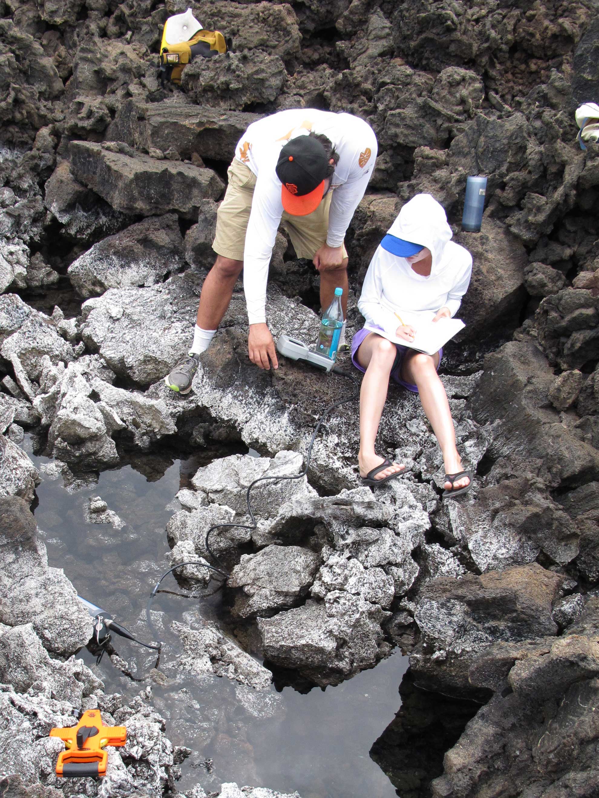 Image of a graduate student collecting data in a brackish anchialine pool