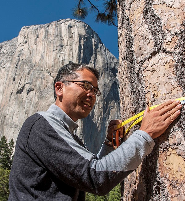 Patrick Gonzalez measuring a tree in a national park.