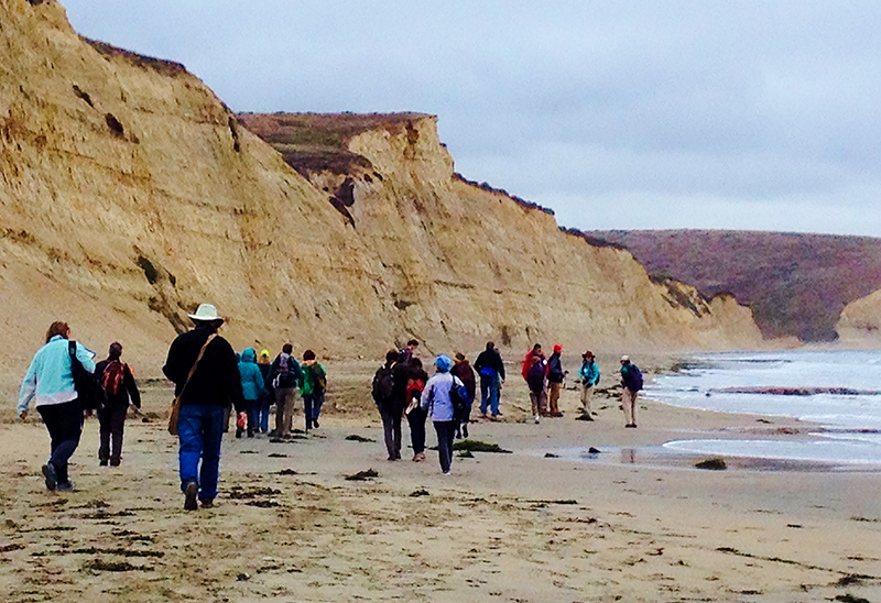 CalNat course members walking on a beach