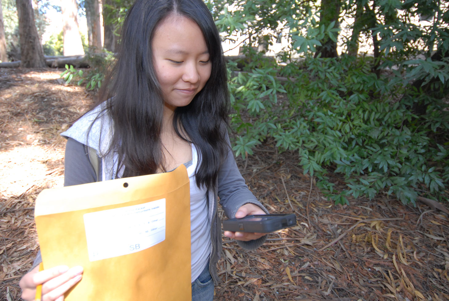 Woman holds a smartphone while conducting tree survey in forested area