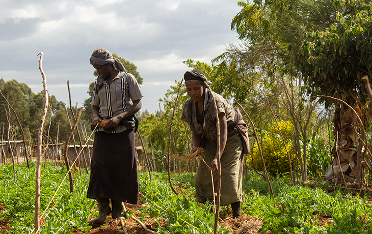 Two subsistence farmers in a field.