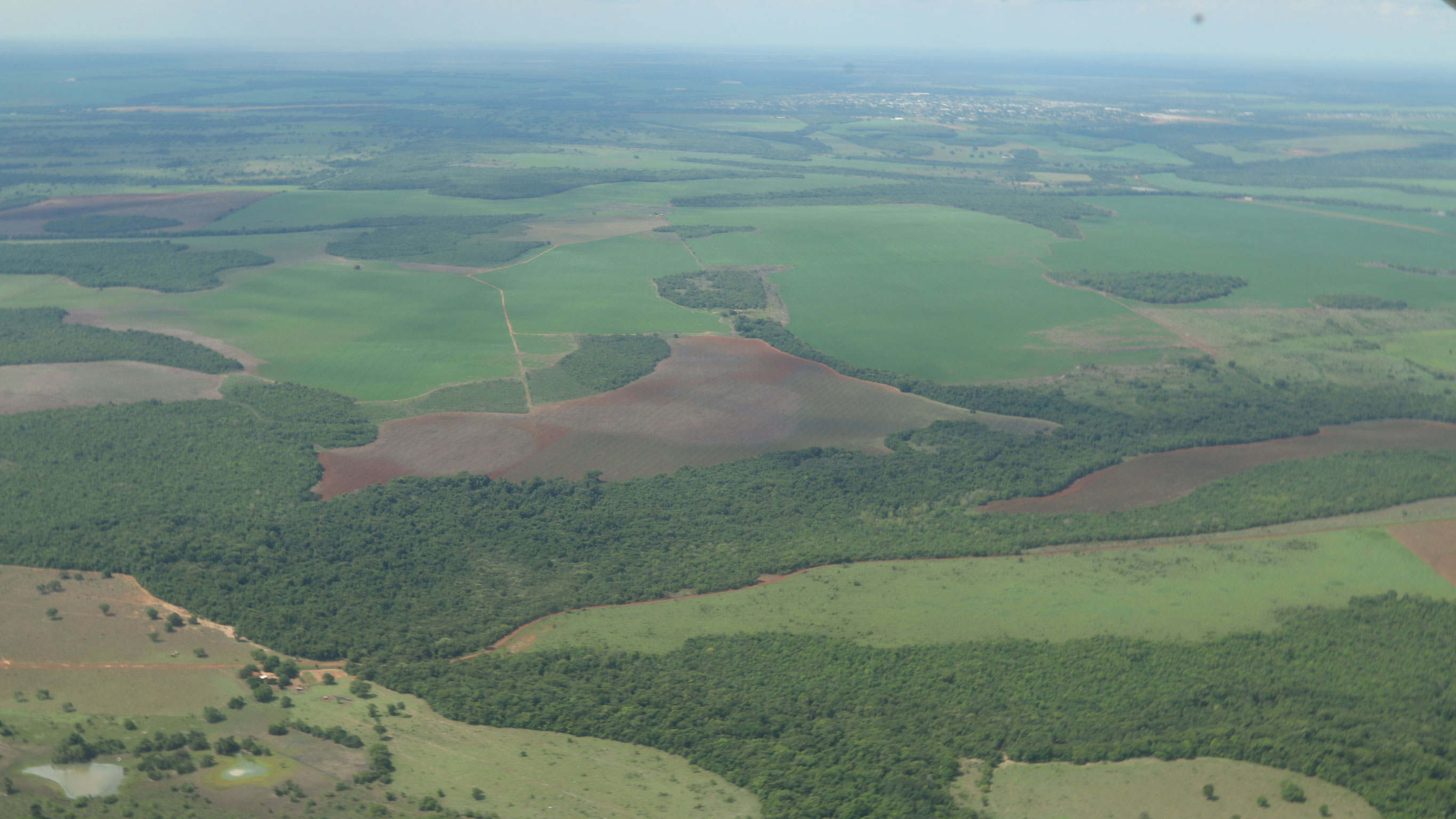 An aerial image of a reforested area