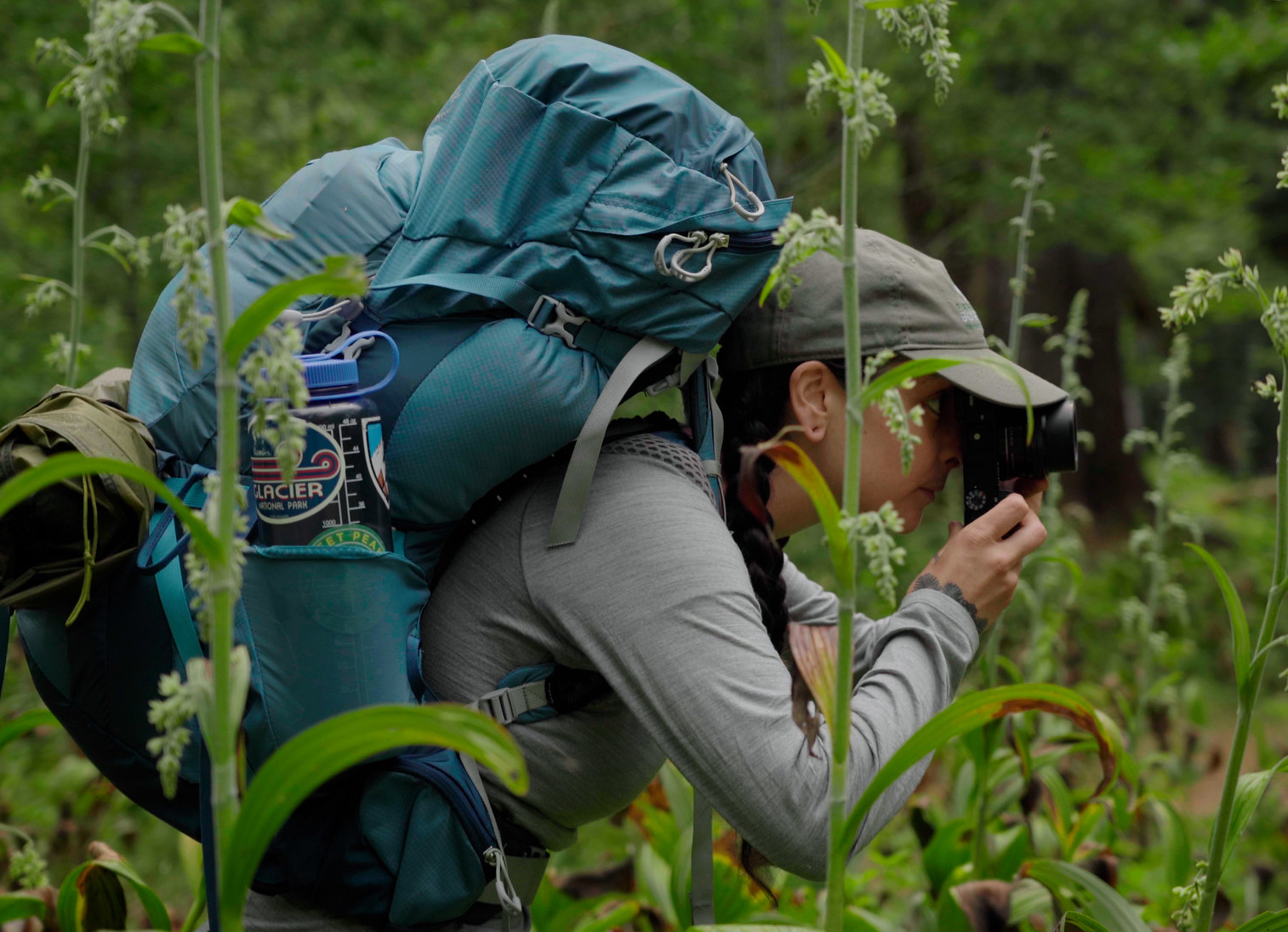 A person photographing a corn lily
