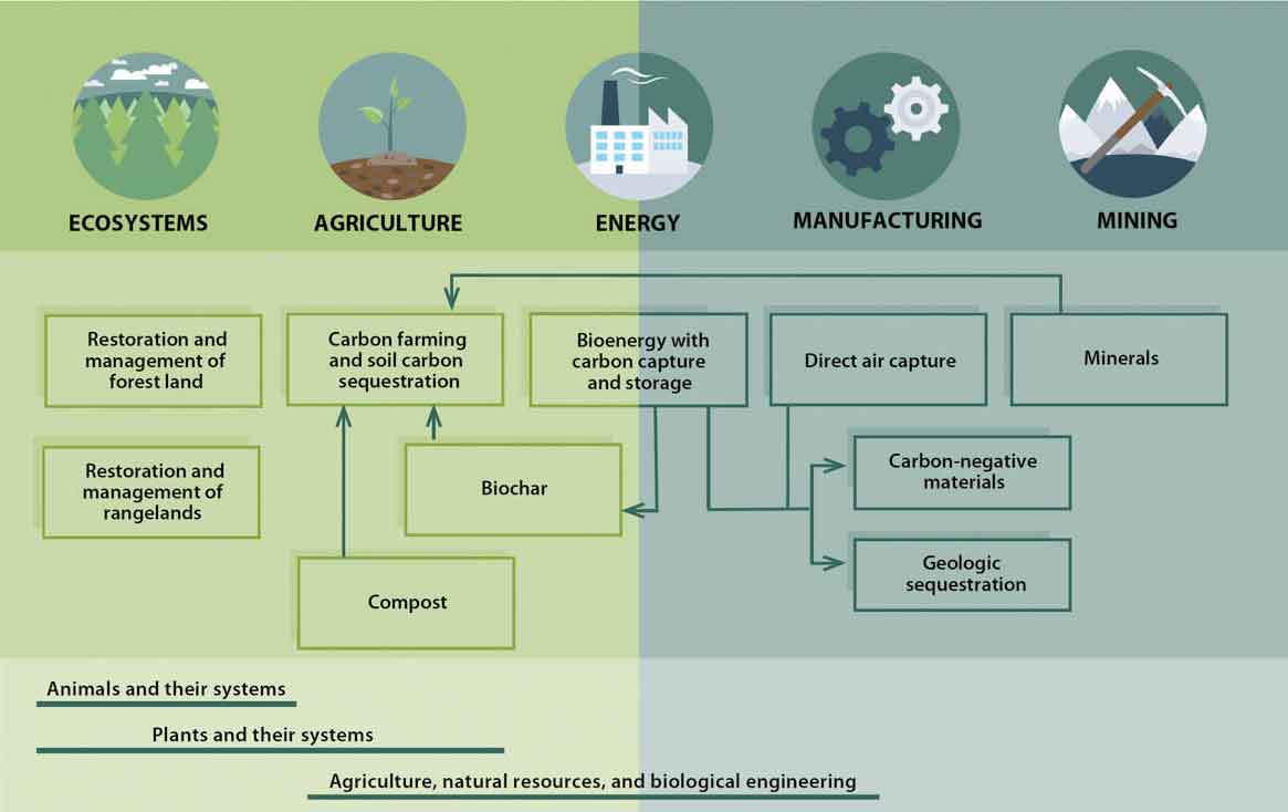 A graphic showing types of carbon removal technologies