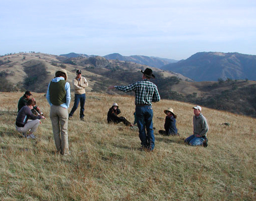 Students learning in the field. 
