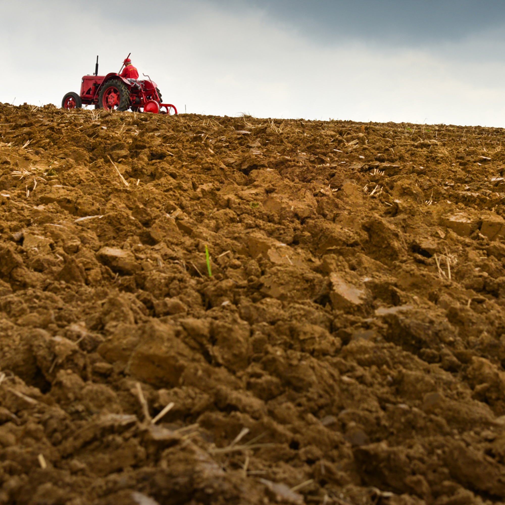 Save the soil to save the Earth | Our Environment at Berkeley