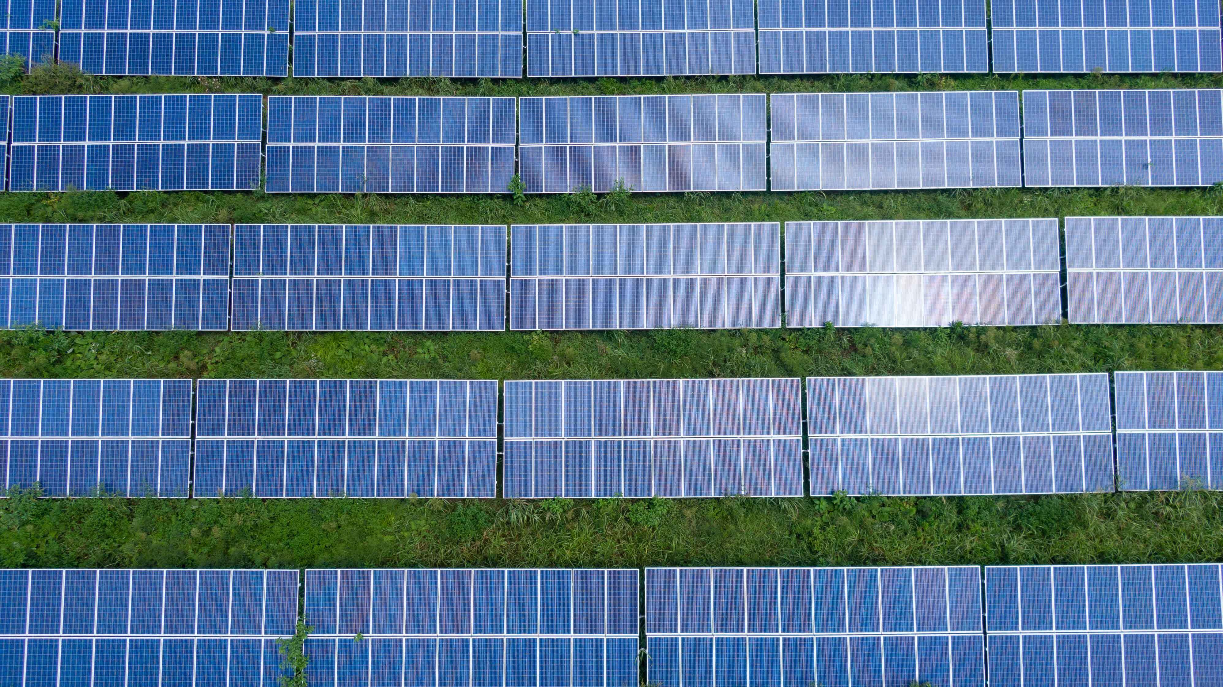 Aerial view of solar panels on grass.