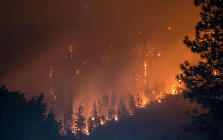 Image of forest fire 