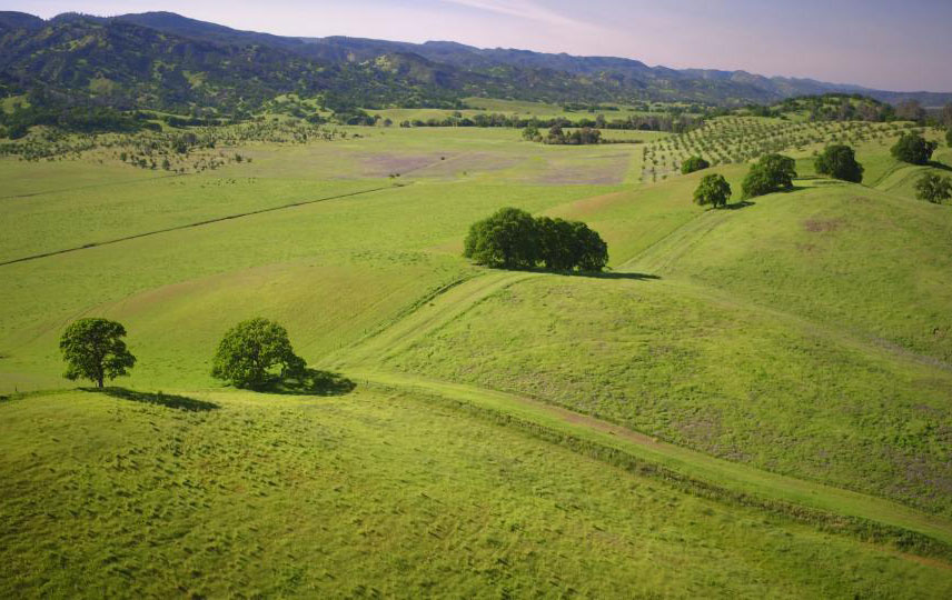 Soil beneath rangelands may help store significant levels of carbon dioxide. (Joe Proudman/UC Davis)