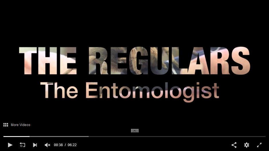 A screenshot of the The Regulars episode, featuring an entomologist