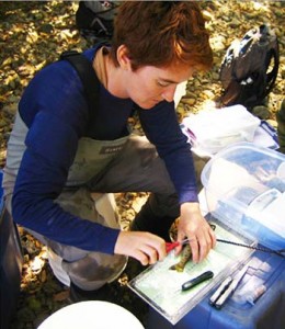 Stephanie Carlson with a juvenile fish.