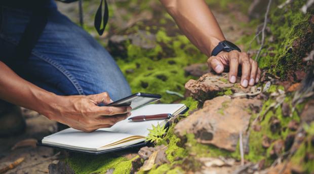 A photo of a person kneeling down in nature, logging a plant observation using a smartphone.