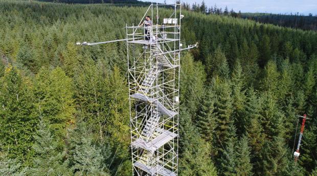 A researcher on top of a tall meteorological tower in a forest