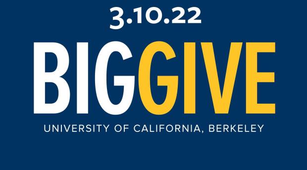 Big Give 2022 Logo