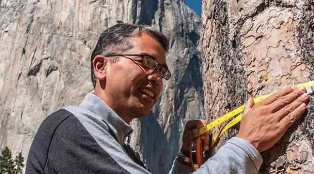 Patrick Gonzalez measuring a tree in a national park.