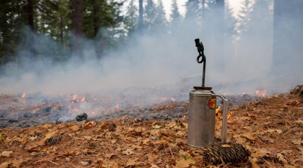 A driptorch is pictured in front of a controlled burn in Blodgett Forest.