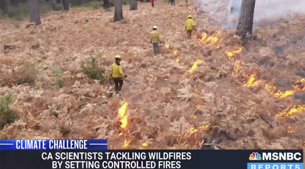 Screen image of MSNBC segment, showing three researchers setting fire