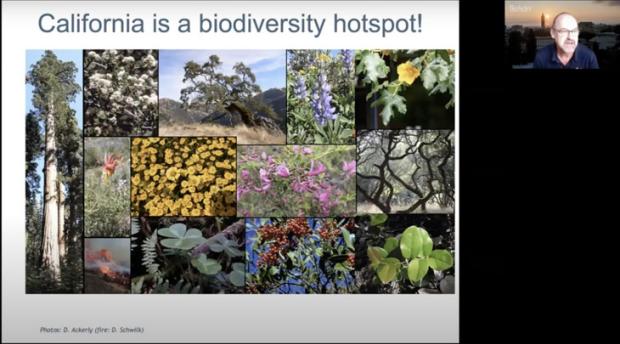 Image of Dean David Ackerly leading virtual workshop on plant diversity and climate change