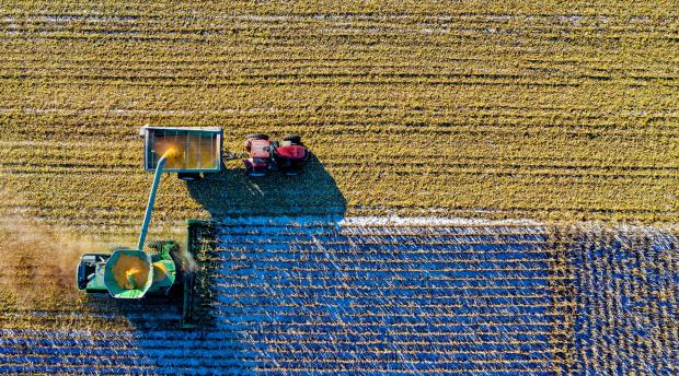 Tractor harvests crop in an open field 