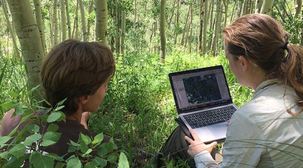 Two researchers with a laptop in an aspen grove