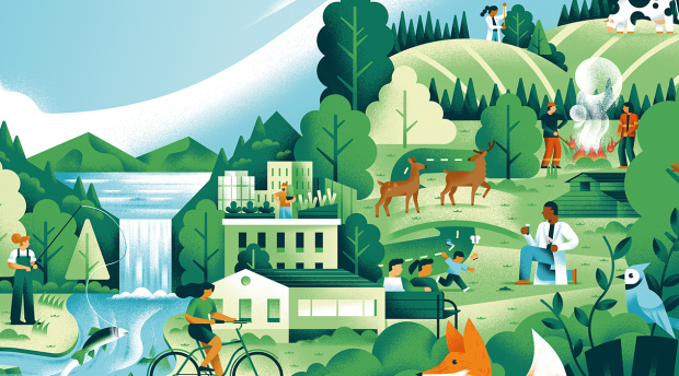 Illustration of a collage of images: someone fishing out of a river and waterfall, buildings, deer, birds, foxes, children playing, a scientist looking at a test tube, a person on a bicycle, and two people at a campfire. 