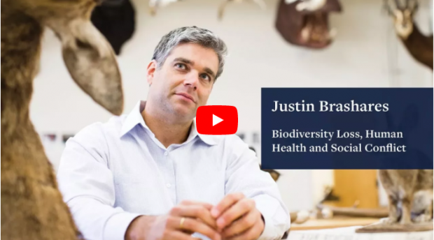 Justin Brashares on Biodiversity Loss, Human Health, and Social Conflict