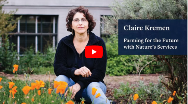If our farms are going to feed a growing planet without hastening climate change, farmers needs to transition to diversified agriculture argues Claire Kremmen
