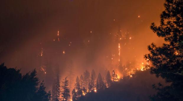 Image of forest fire 