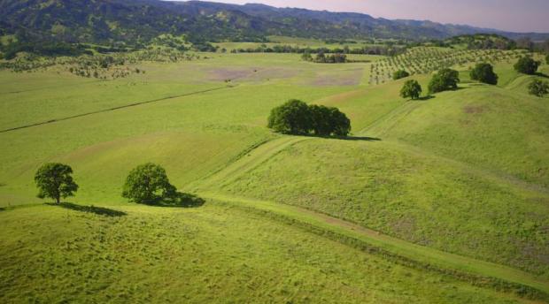 Soil beneath rangelands may help store significant levels of carbon dioxide. (Joe Proudman/UC Davis)