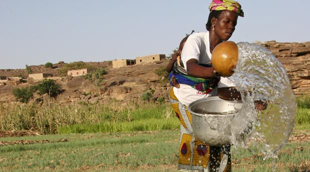 A Dogon woman in Mali waters her onion garden