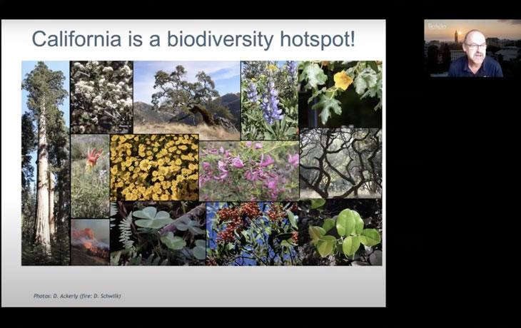 Image of Dean David Ackerly leading virtual workshop on plant diversity and climate change