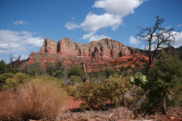 Dry landscape 