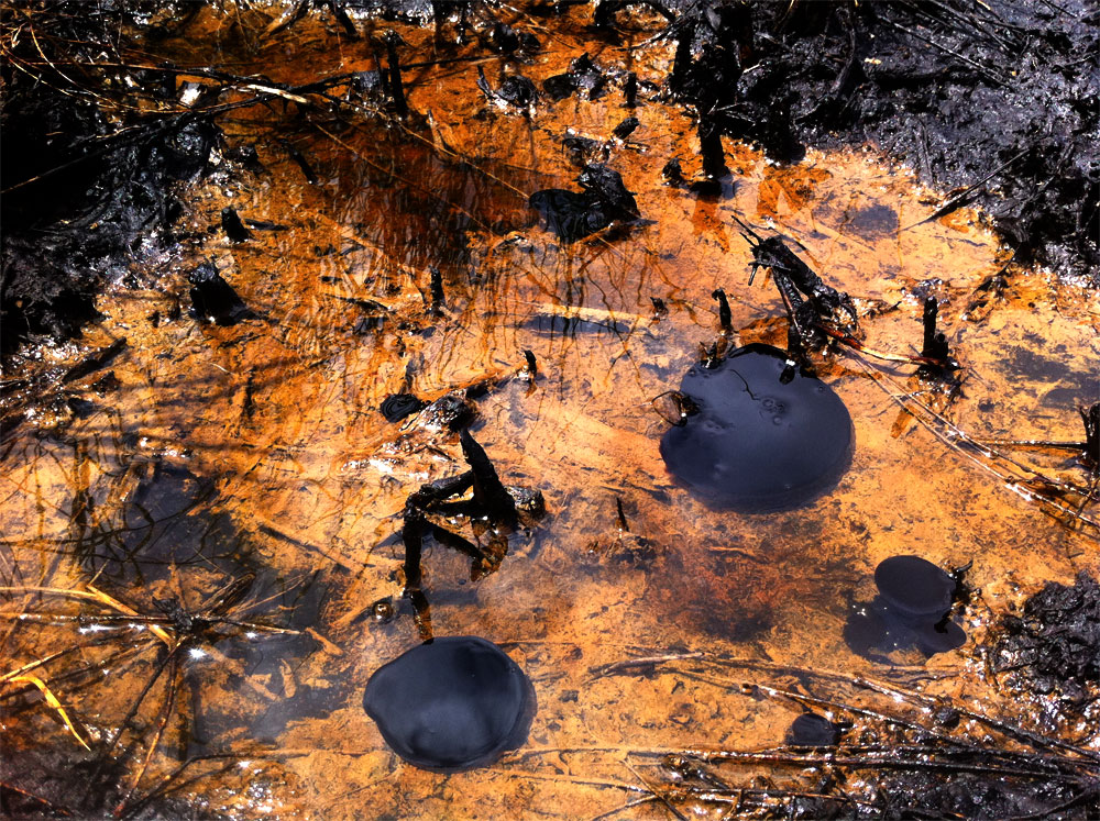 Oil spill photo by Thomas Azwell